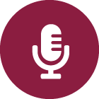 Speakers module